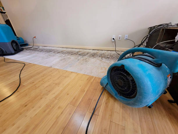 Professional Sewage Cleanup technician working in Fairfield, IA